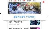 凤凰网新闻爆料有用吗安全吗,揭秘实用性与安全性并存的信息来源